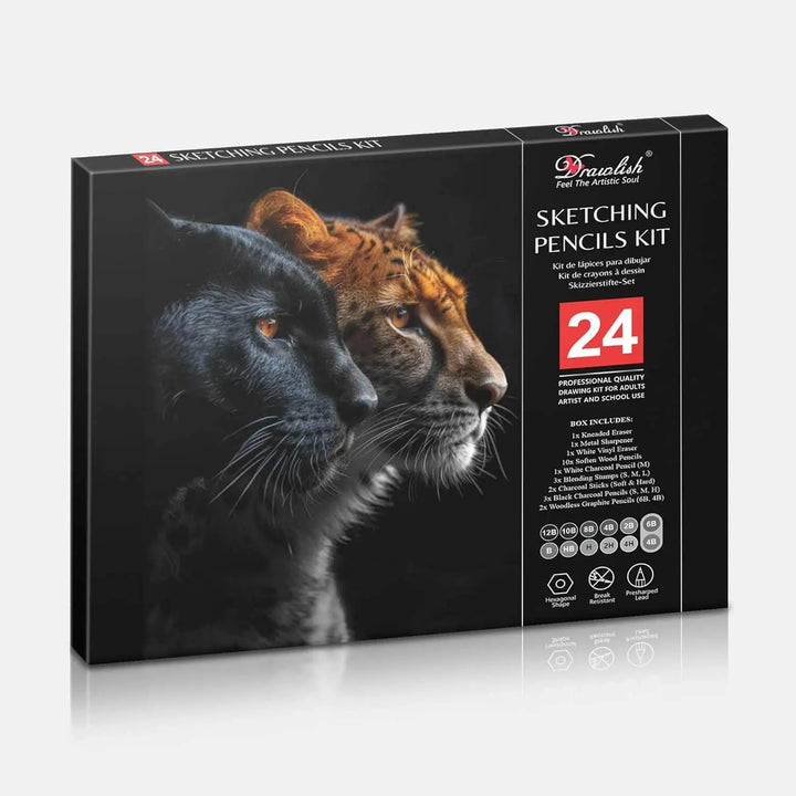 Drawing Set for Adults – 24-Piece Artist Pencil Set for Artists & Professionals - sketch pencil, artist pencil, graphite pencils