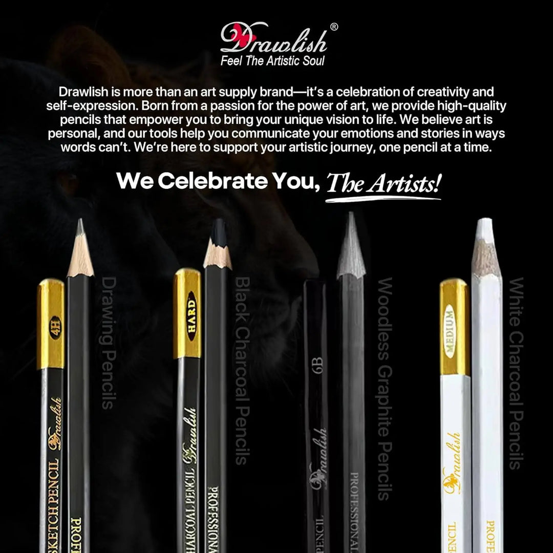 Drawing Set for Adults – 24-Piece Artist Pencil Set for Artists & Professionals - sketch pencil, artist pencil, graphite pencils