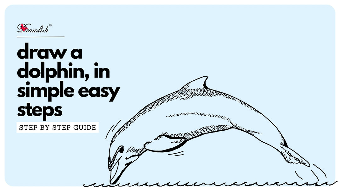 How To Draw A Dolphin, In Simple Easy Steps