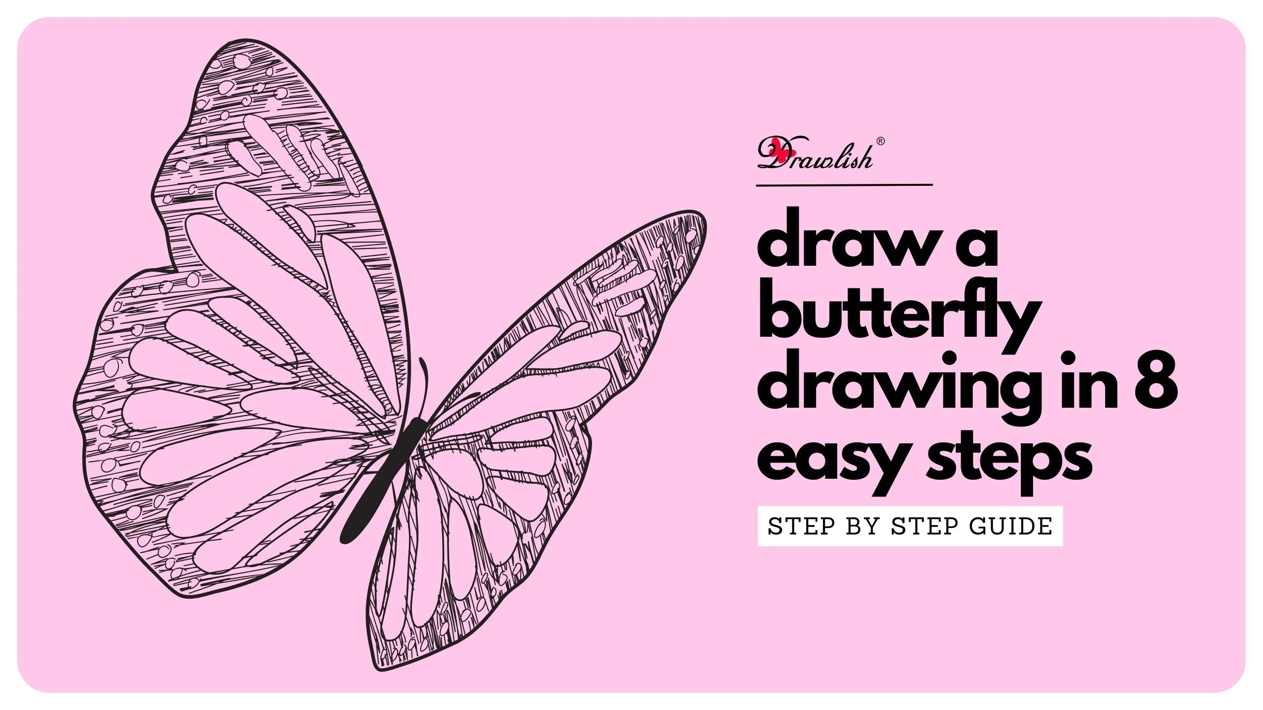 Butterfly Drawing Images