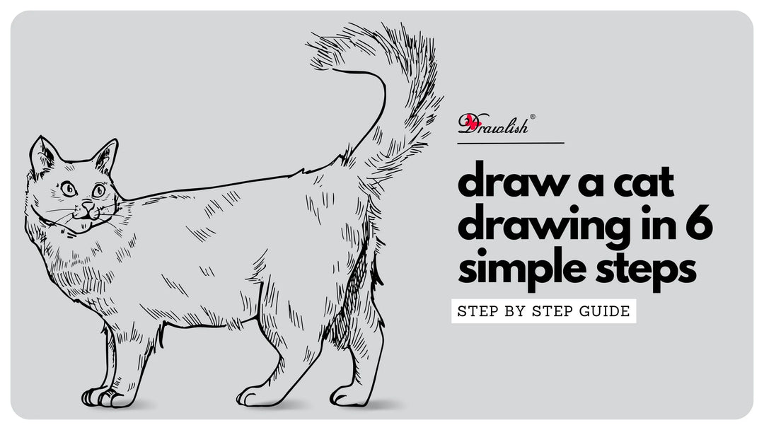 How To Draw A Cat Drawing In 6 Simple Steps