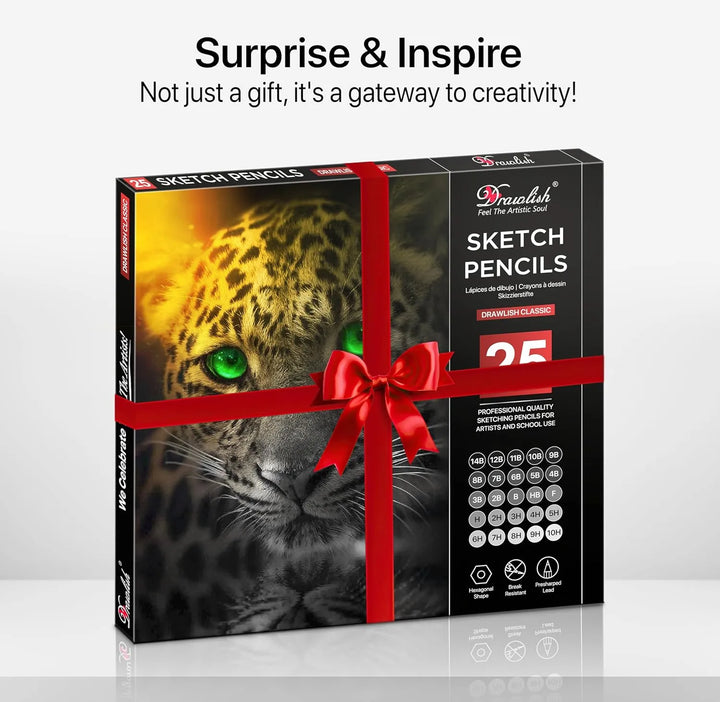 Drawing Pencils for Artists - 25 Grades (14B to 10H) Sketching Pencils Set